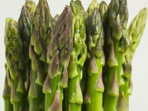 Asparagus Mary Washington 100 Seeds