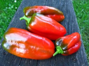 Doux d' Espagne Pepper Seeds