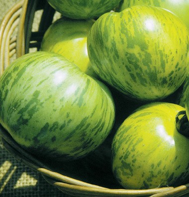 Green Zebra Heirloom Tomato 50 seeds