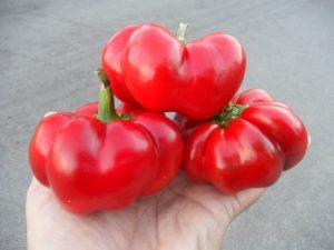 Liebesapfel pepper Seeds