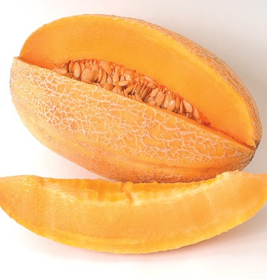 Sweet Granite Cantelope Melon 10 seeds
