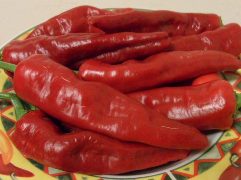 Tunisian_Baklouti_7