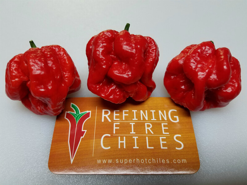 MOA Scotch Bonnet Red