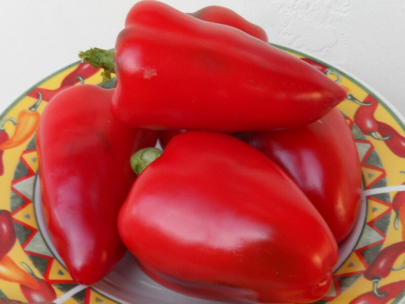 Sweet_Apple_7