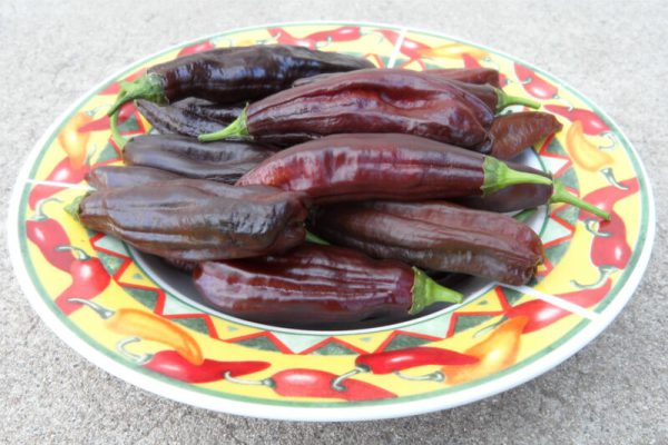 Aji Panca 7