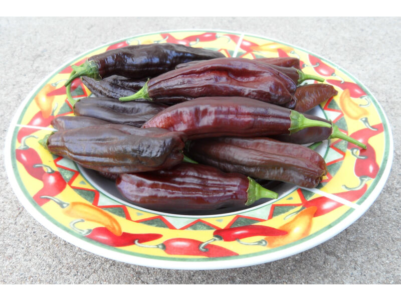 Aji Panca 7