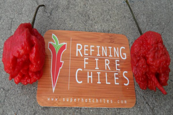 Carolina Reaper 32