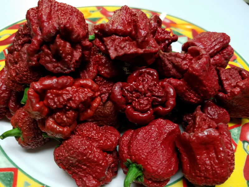 Lava Chocolate
