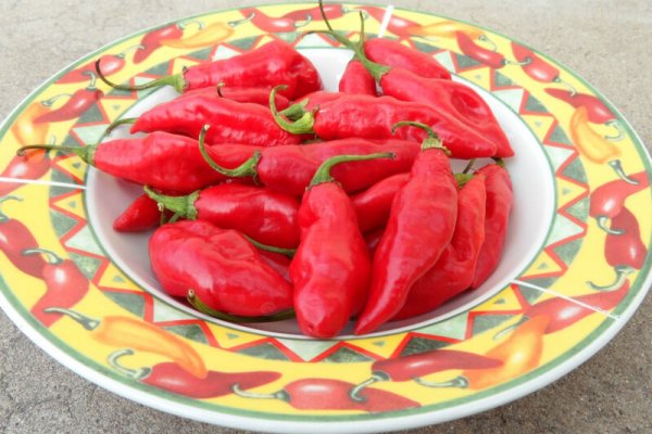 Trinidad Pimento 10