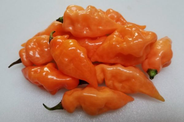 Habanada