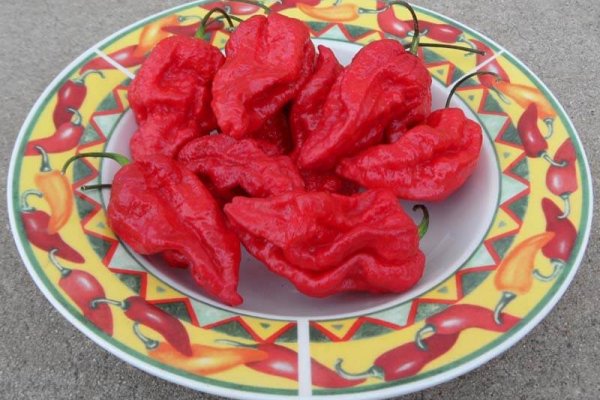 King Naga 32