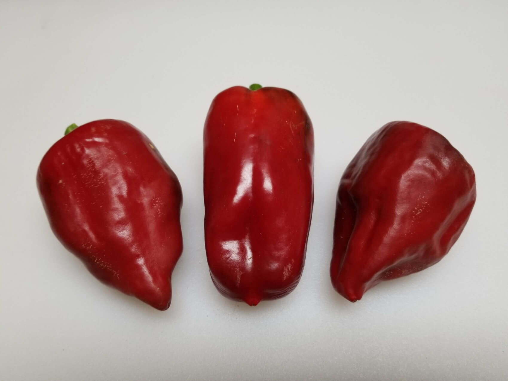 ChilesChilhuacleRojo7 2018