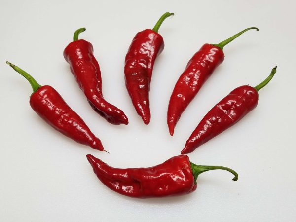 ChilesCochiti8 2018