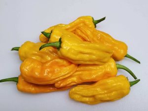 ChilesOrangePepperoncini16 2018