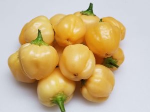 ChilesPeachadew4 2018