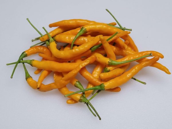 ChilesYellowThai4 2018