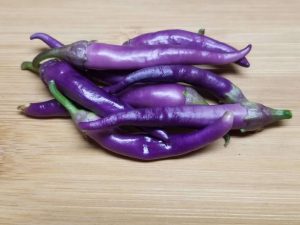 ChilesBuenaMulata4 2018 1