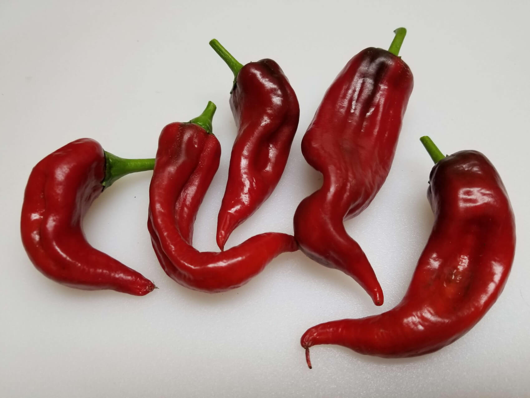 ChilesCasados8 2018