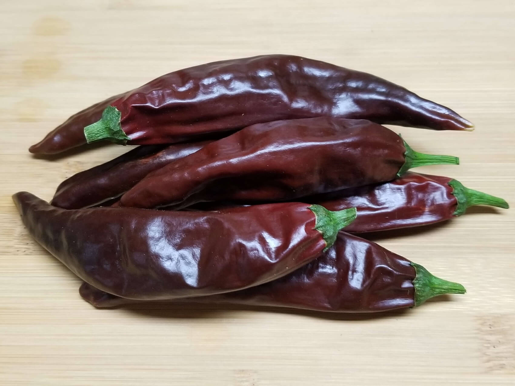 ChilesChocolateMirasol8 2018