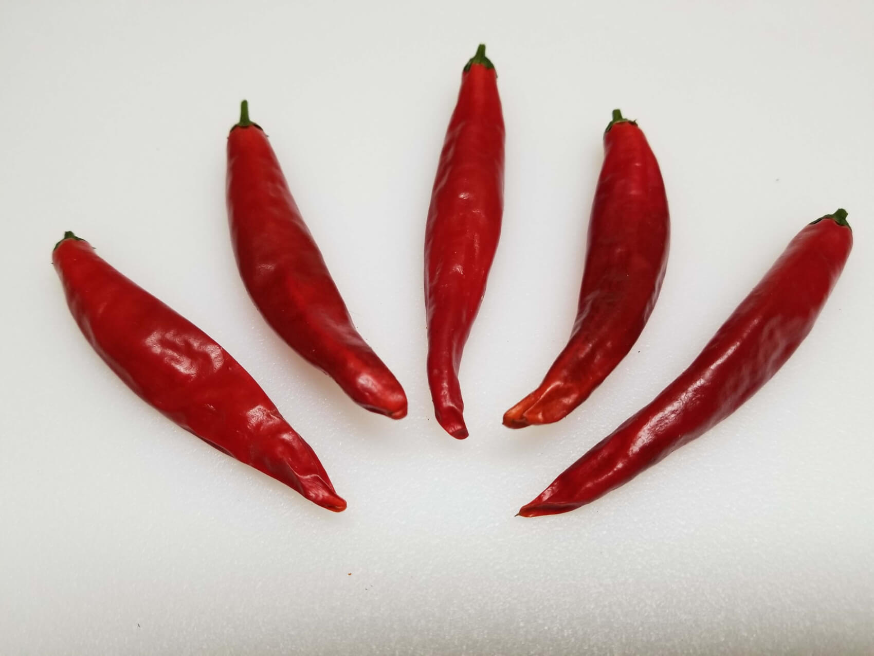 ChilesPicoDePajaro5 2018