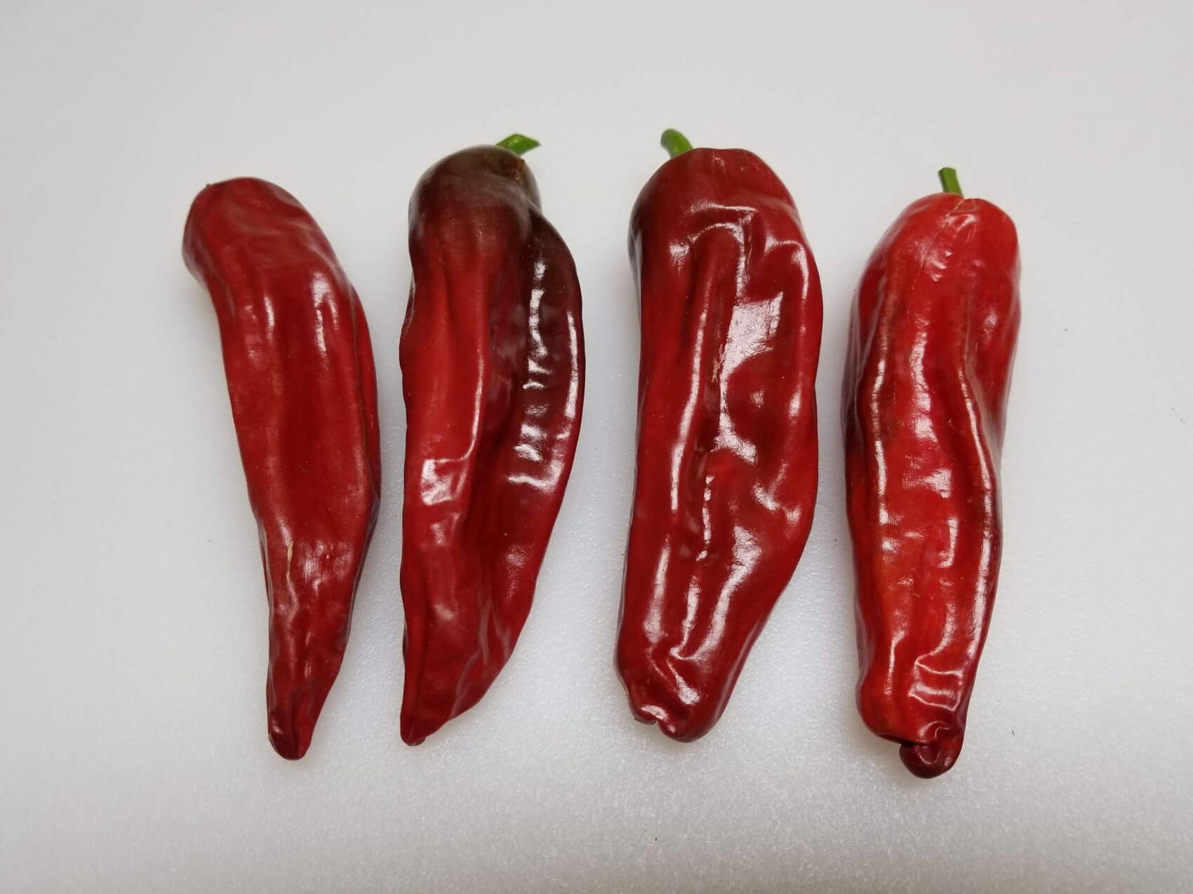ChilesQuatroMilpas6 2018 1