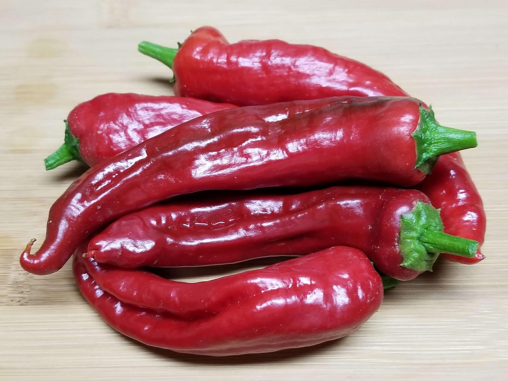 chilesSantadomingo6 2018