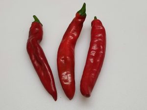 ChilesAcoma8 2018