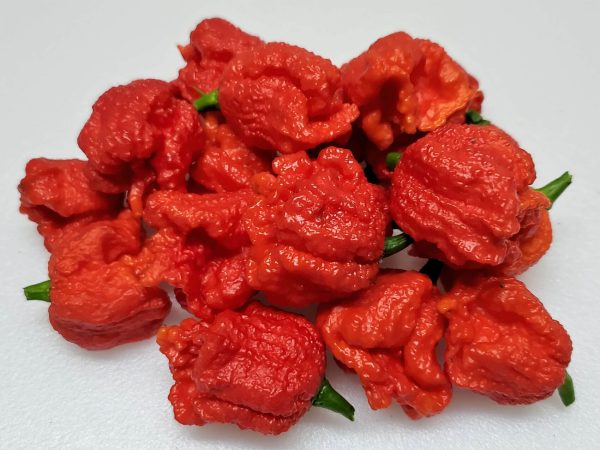 ChilesDragonsBreath12 2019 1