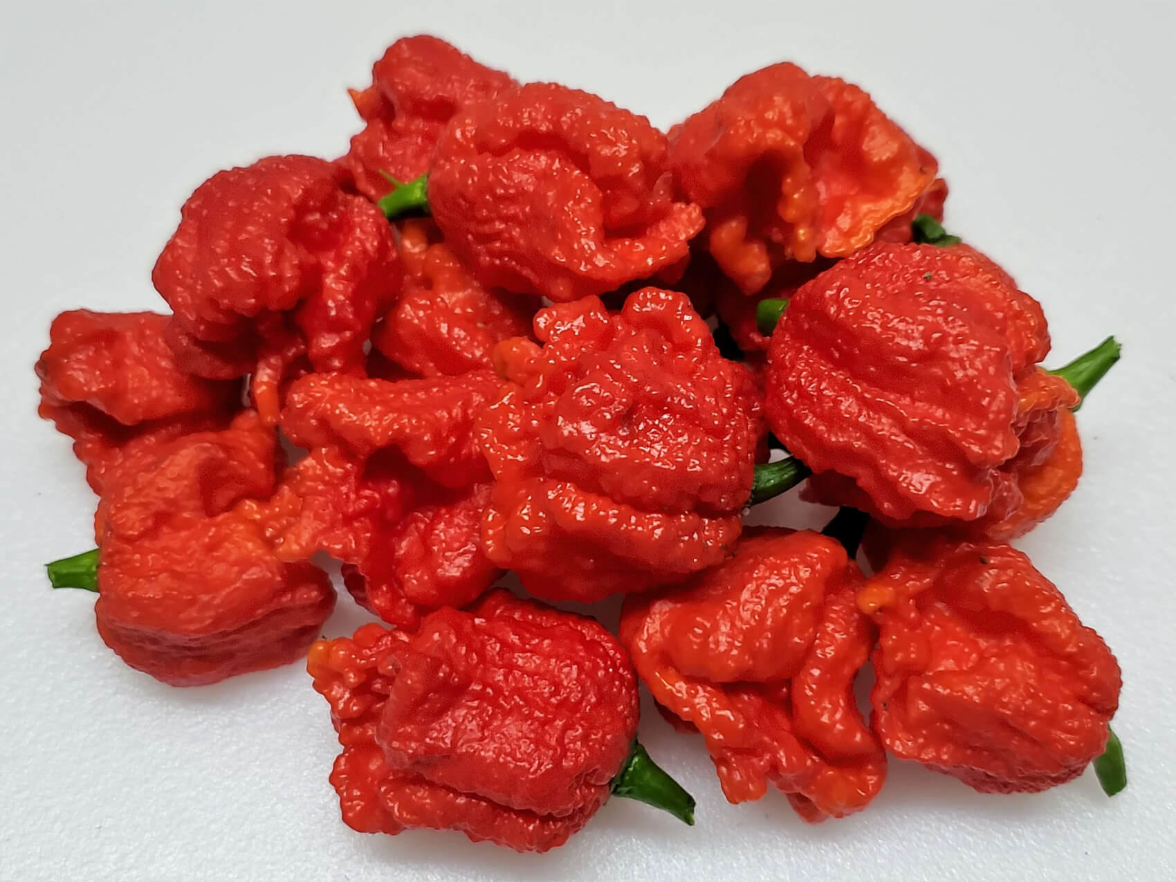 Dragons Breath Pepper Seeds Super Hot Chiles