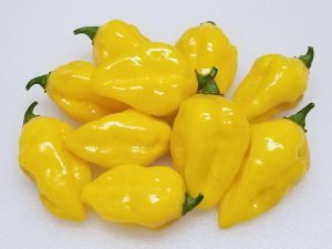 ChilesPuertoRicanYellow6 2019