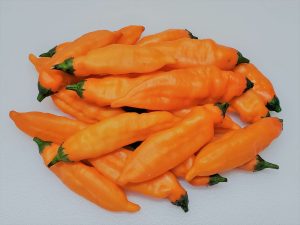 ChilesAjiMango3 2020