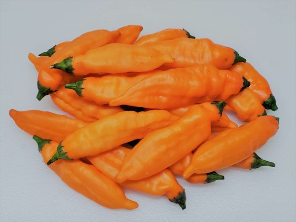 ChilesAjiMango3 2020
