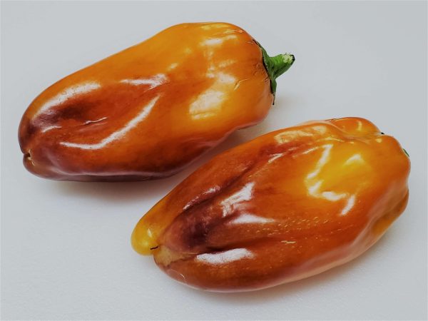 ChilesBlot6 2020