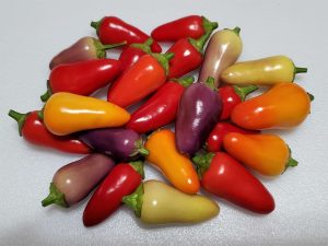 ChilesMulticolorJalapeno12 2020