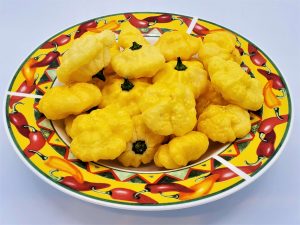 ChilesKhangStarrLemonStarburst5 2021