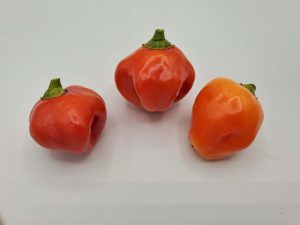 ChilesAppleCrisp1 2021