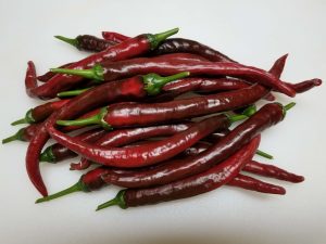 ChilesPuya1 2020