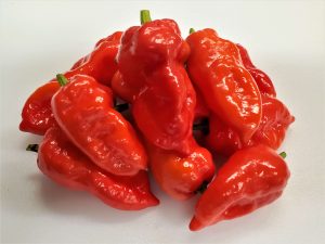 ChilesMariansRed5 2022