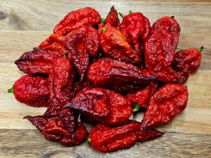 ChilesBorg9PurpleRed#9 2024