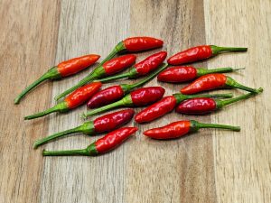 ChilesCalabrianDiavolicchio#6 2024
