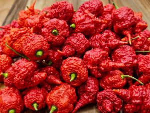 ChilesRB003#17 2024